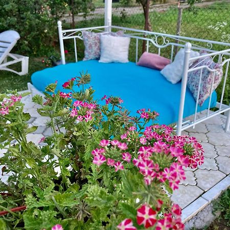 White House With Sauna And Jacuzzi Нови-Сад Экстерьер фото